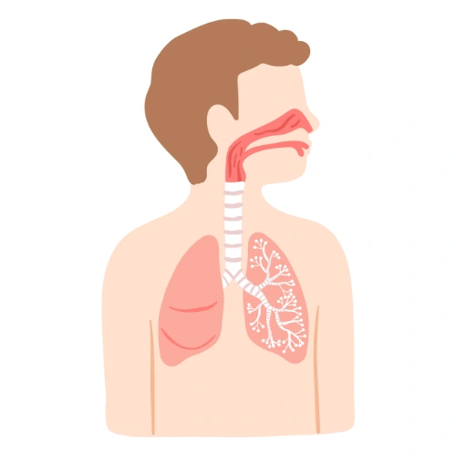 Trachea Conferences