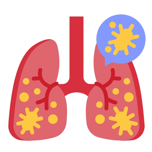 Trachea Conferences